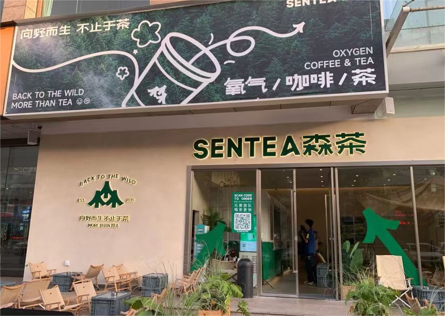 森茶sentea